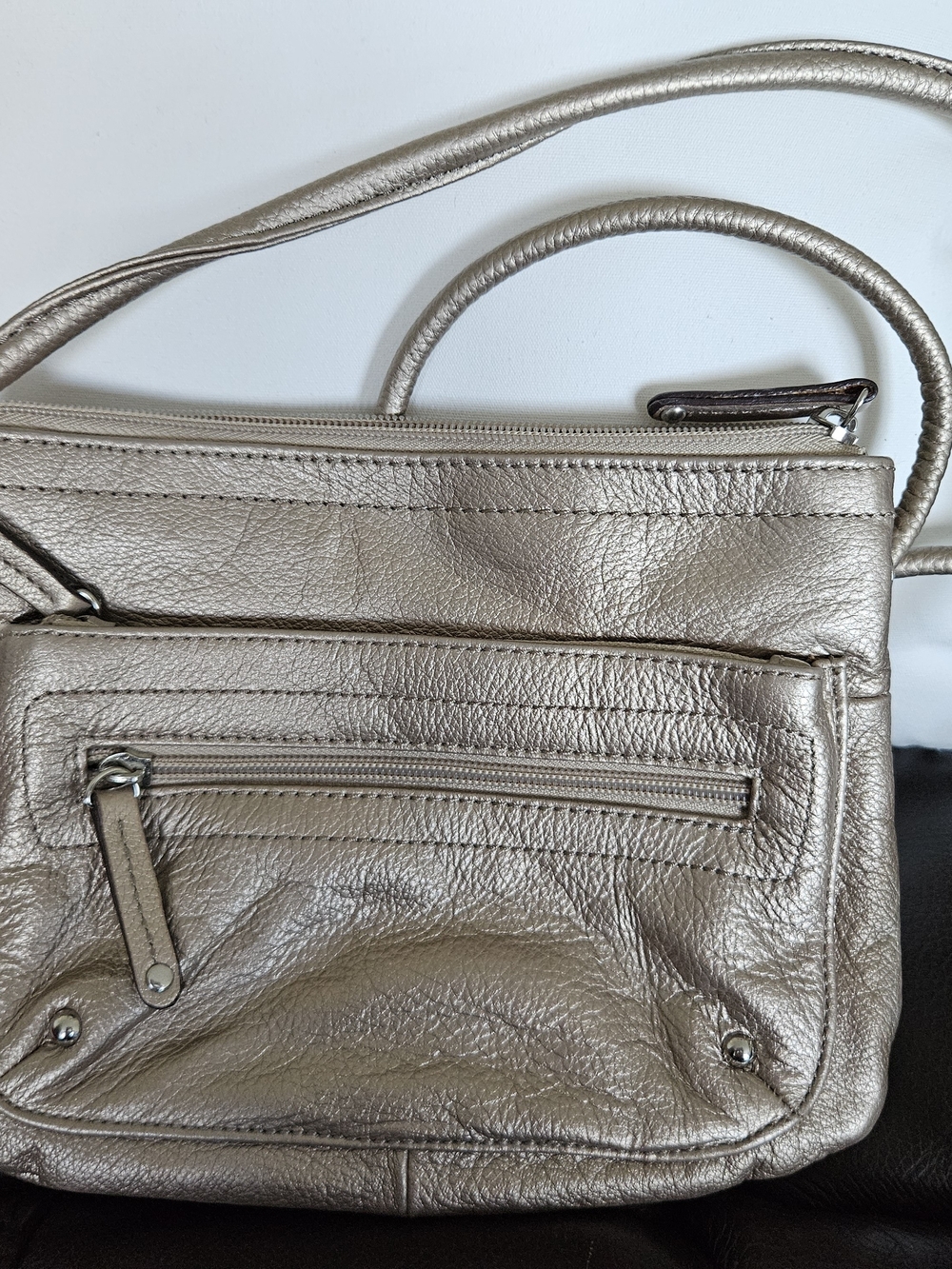 Tiagnello Metallic Champagne Leather Crossbody Bag